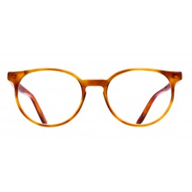 MARYLAND-BLONDE-TORTOISE