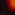 red-footed-tortoise